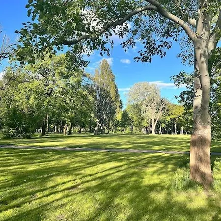 Altstadt In Unmittelbarer Naehe Zu Saale Und Marktplatz Mit Privatem Parkplatz
