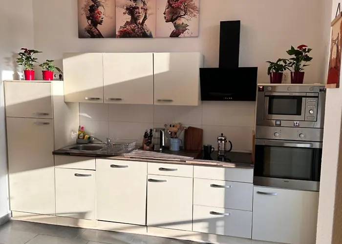 Apartmán Altstadt In Unmittelbarer Naehe Zu Saale Und Marktplatz Mit Privatem Parkplatz *