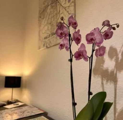 Altstadt In Unmittelbarer Naehe Zu Saale Und Marktplatz Mit Privatem Parkplatz Halle (Saale)