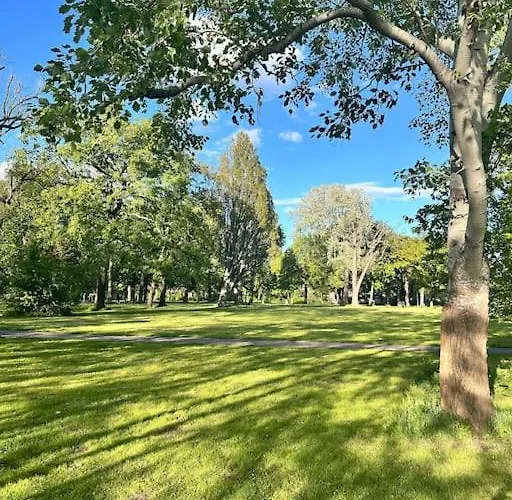 Altstadt In Unmittelbarer Naehe Zu Saale Und Marktplatz Mit Privatem Parkplatz